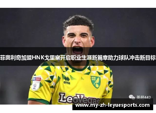 菲奥利奇加盟HNK戈里察开启职业生涯新篇章助力球队冲击新目标 菲奥利奇加盟HNK戈里察开启职业生涯新篇章助力球队冲击新目标