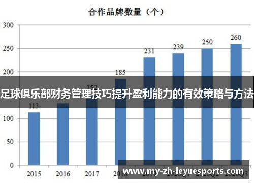 足球俱乐部财务管理技巧提升盈利能力的有效策略与方法 足球俱乐部财务管理技巧提升盈利能力的有效策略与方法