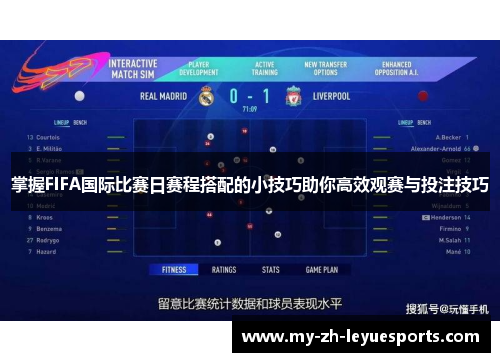 掌握FIFA国际比赛日赛程搭配的小技巧助你高效观赛与投注技巧 掌握FIFA国际比赛日赛程搭配的小技巧助你高效观赛与投注技巧